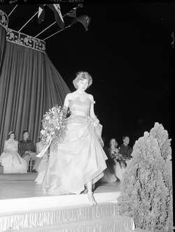 
 beauty pageant girls
