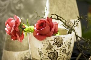 beautiful roses