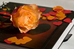 romance novel with rose