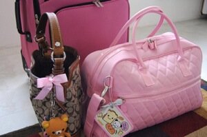 pink travel bags