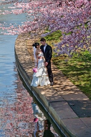 beautiful scenery of a destination wedding