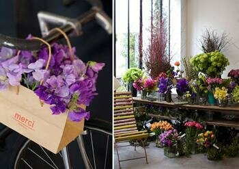 pretty flowers