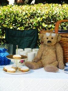 teddy bear picnic for adults
